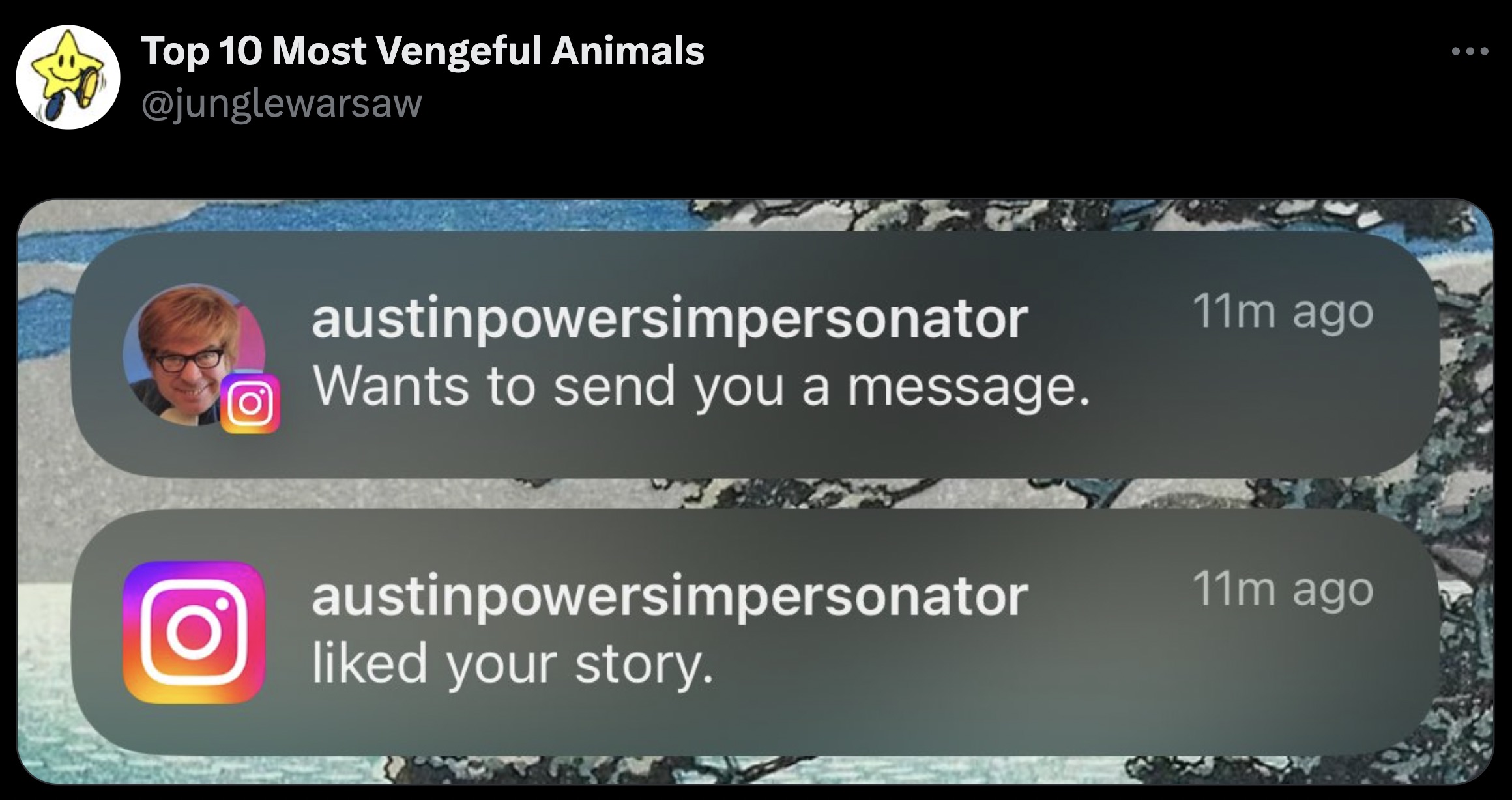 screenshot - Top 10 Most Vengeful Animals O O austinpowersimpersonator Wants to send you a message. austinpowersimpersonator d your story. 11m ago 11m ago